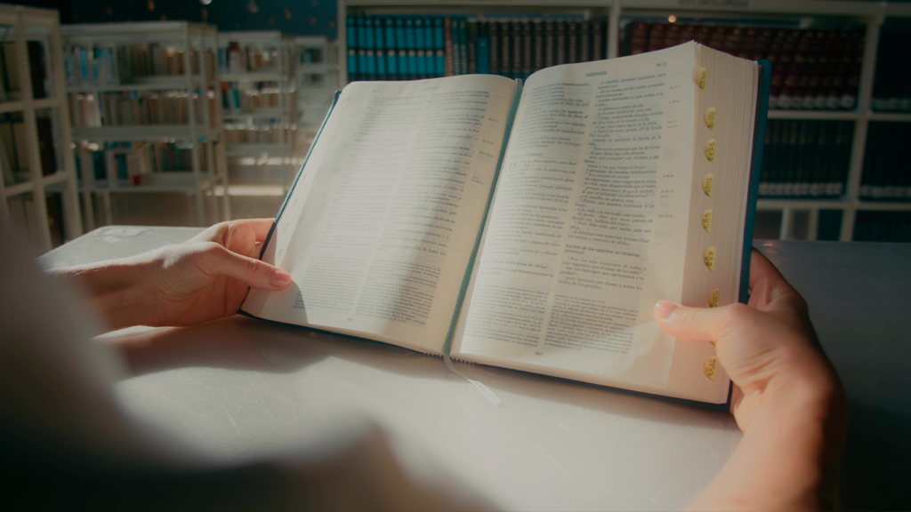 Plan de lectura